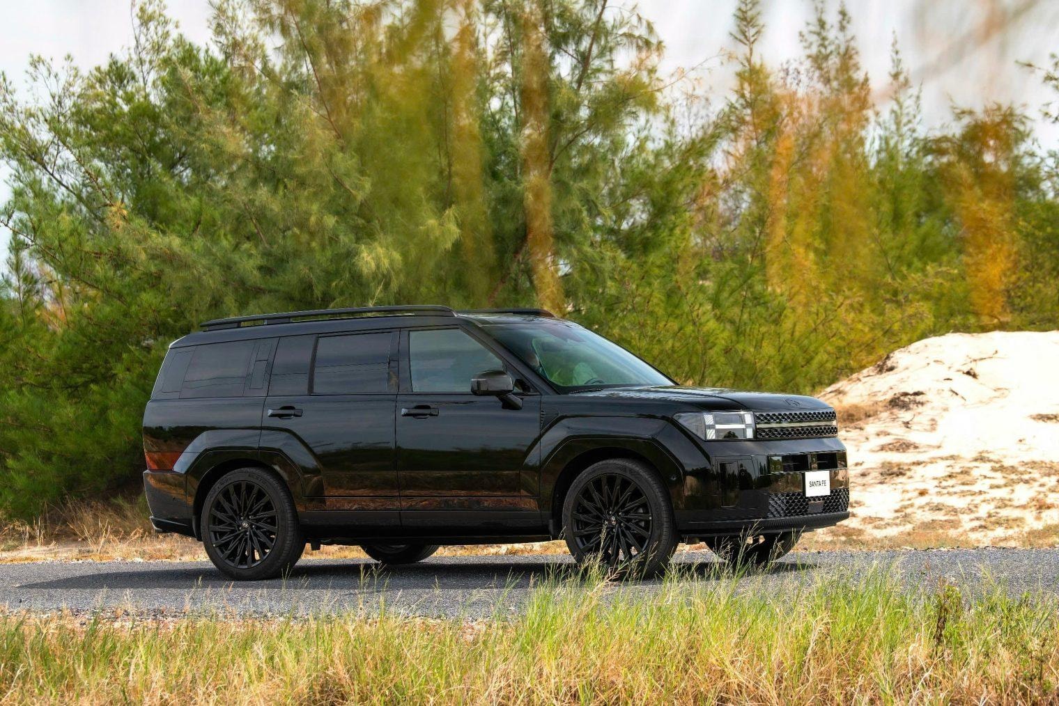 Hyundai Santa Fe nhìn ngang trong khung cảnh đô thị hiện đại